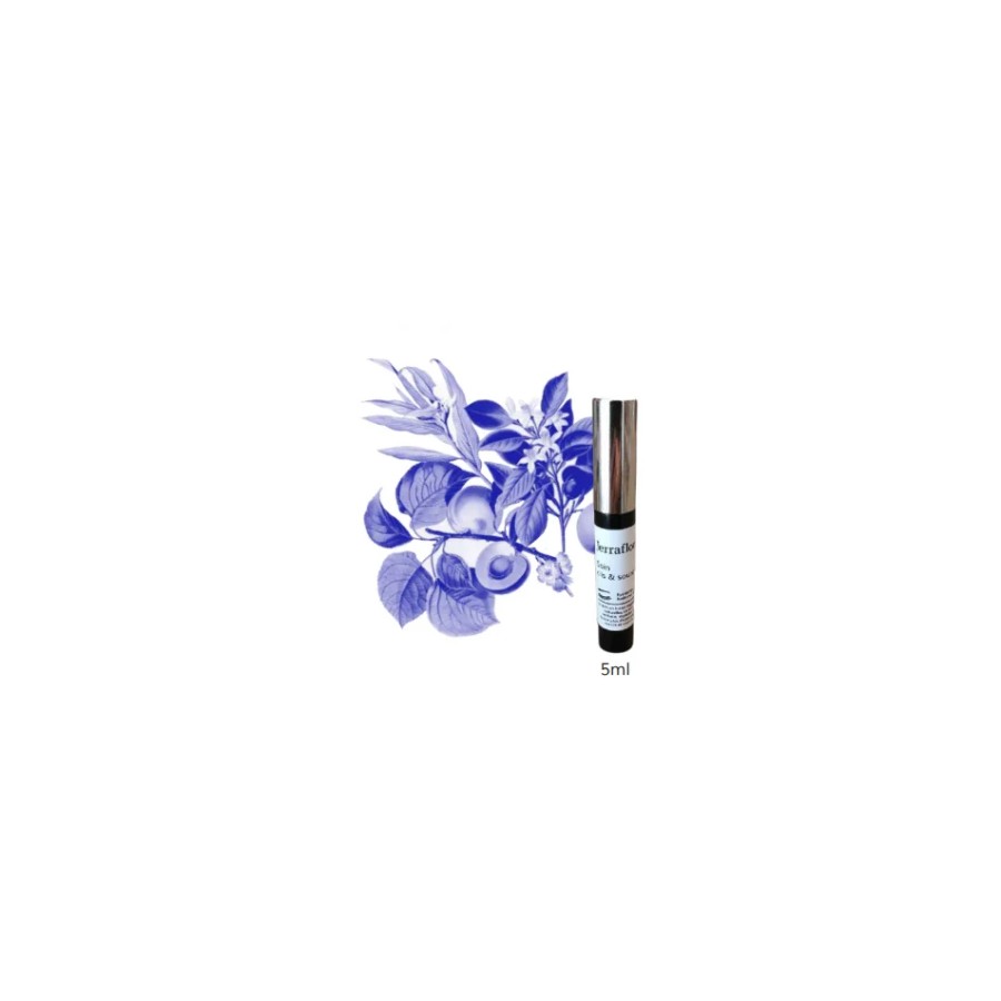 RR SERINGUE 5ML